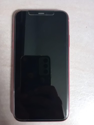 Iphone usato 256 gb - 11,
